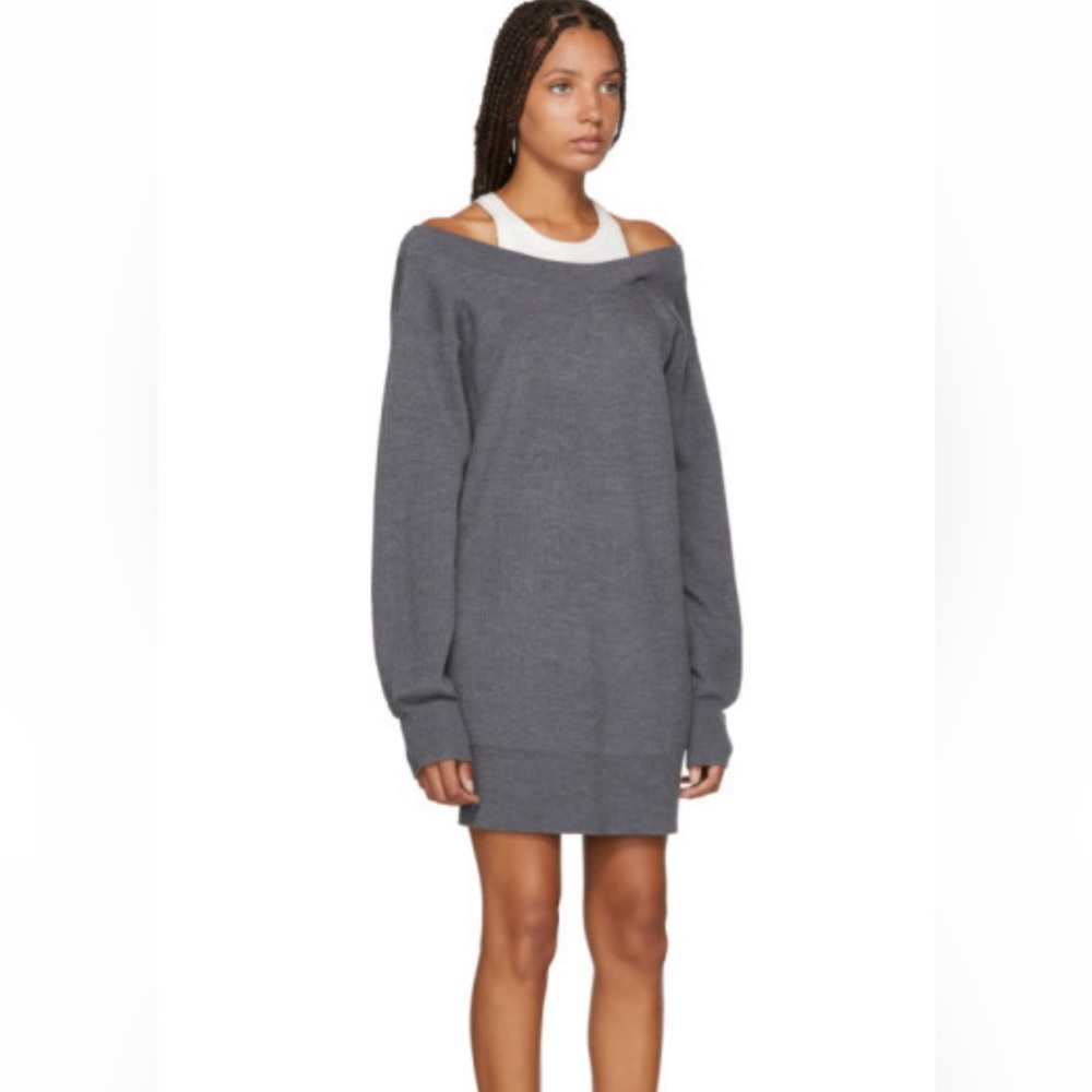 Never worn. Alexander Wang Sweater Dress
